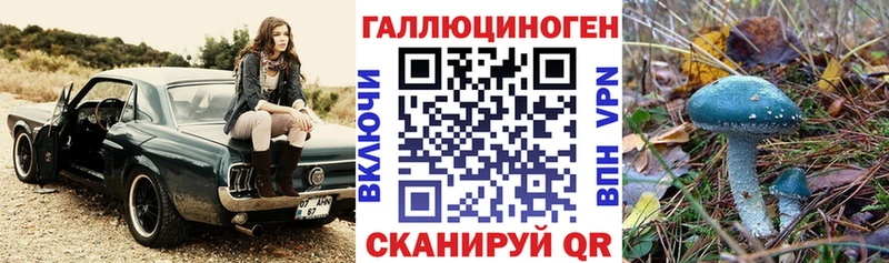 Галлюциногенные грибы Magic Shrooms  MEGA как зайти  Яхрома  купить наркотик 